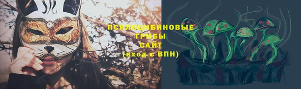 молекула духа Алексин