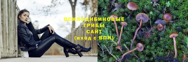 таблы Алзамай