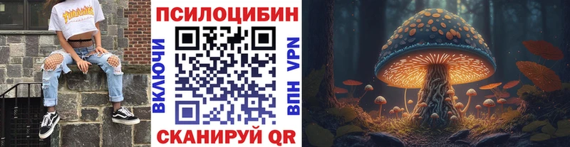 Псилоцибиновые грибы мицелий  Щигры 